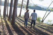 Visão traseira do casal andando de mãos dadas na floresta na costa do lago da floresta . — Fotografia de Stock