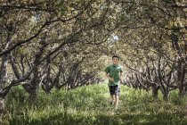 Niño corriendo en un túnel arbolado de ramas de árboles
. - foto de stock