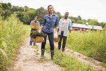 Farmers standing and carrying baskets of freshly picked vegetables on organic farm. — Stock Photo