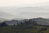 Foggy Tuscan landscape at sunrise in Italy, Europe — Stock Photo