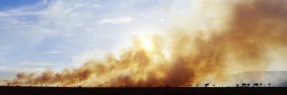 Bruciatura controllata con fumo nella riserva naturale Masai Mara, Africa — Foto stock