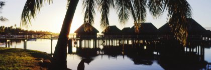Пейзаж над водными хижинами на тропическом курорте, Таити — стоковое фото