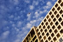 Airplane flying over building in Dallas, Texas, USA — Stock Photo