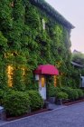 Дом, покрытый растениями плюща и дверью, Курасики, Япония — стоковое фото