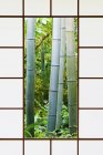 Floresta de bambu através da janela de papel de arroz em Kyoto, Japão — Fotografia de Stock