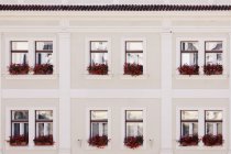 Fenêtres et boîtes à fleurs rouges, Cesky Krumlov, République tchèque — Photo de stock