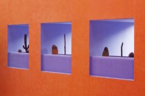Niches en orange et violet mur moderne avec des plantes de cactus, plein cadre — Photo de stock
