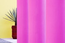 Brillantes columnas arquitectónicas de color rosa y palmera de casa en maceta - foto de stock