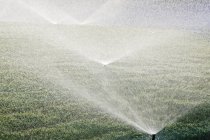 Irrigatori sul prato nel paese McKinney, Texas, Stati Uniti — Foto stock