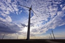 Wind farm turbines in Roscoe, Texas, USA — Stock Photo