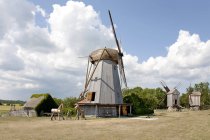 Molinos de madera Angla, Angla Windmill Mount, Estonia, Europa - foto de stock