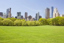 Prado verde do Central Park e horizonte com arranha-céus de Nova York, EUA — Fotografia de Stock