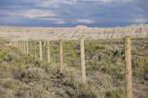 Stacheldrahtzaun in der Landschaft von Wyoming, USA — Stockfoto