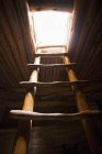 Escalera de la vivienda del acantilado nativo americano, Mesa Verde, Colorado, EE.UU. - foto de stock