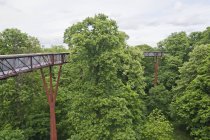Passerella degli alberi a Kew Gardens, Londra, Inghilterra, Regno Unito — Foto stock