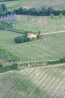 Gelbes Haus in gemusterter Weinbaulandschaft in Montepulciano, Toskana, Italien — Stockfoto