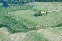 Vista aérea de la casa amarilla en viñedo verde, Toscana, Italia - foto de stock