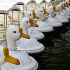 Barcos de remo com cabeças de cisne em Beihai Park, Pequim, China — Fotografia de Stock