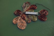 Ölbooms an Barge in Seattle, Washington, USA befestigt — Stockfoto