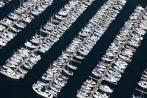 Boats in marina port in Seattle, Washington, USA — Stock Photo