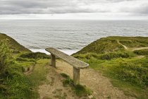 Скамейка с видом на океан в Англии, Великобритании, Европе — стоковое фото