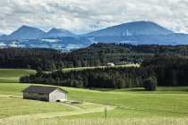 Fienile in campo con montagne e boschi, Salzkammergut, Austria — Foto stock