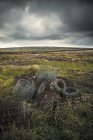Rollos de alambre de púas y vallas en Yorkshire, Inglaterra, Gran Bretaña, Europa - foto de stock