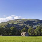 Barn in green valley with woods of Swaledale, Yorkshire Dales National Park, England, Great Britain, Europe — Stock Photo
