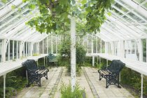 Elegant greenhouse, Ross-shire, Шотландия, Великобритания — стоковое фото