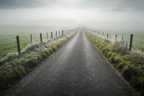 Estrada através do campo rural em tempo nevoeiro — Fotografia de Stock