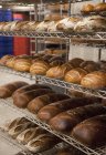 Panes de pan en la panadería, Nueva York, Nueva York, EE.UU. - foto de stock