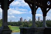 Central Park and downtown of New York city, USA — Stock Photo