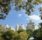 Office buildings from Central Park, New York, USA — Stock Photo