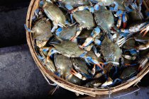Wicker basket of freshly caught crabs, top view — Stock Photo