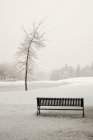 Empty park bench in snowy winter landscape — Stock Photo