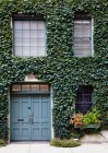 Листья, покрывающие фасад здания дверью и окнами, полный каркас, Нью-Йорк, Нью-Йорк, США — стоковое фото