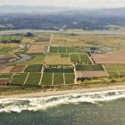 Padrão de terras agrícolas costeiras no país da Califórnia, EUA — Fotografia de Stock