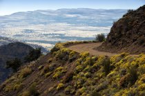 Надійна гірська дорога з зеленою рослинністю в Орегоні, США — стокове фото