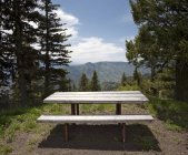 Стол для пикника в каньоне Хеллс, Орегон, США — стоковое фото