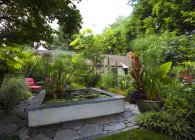 Landscaped garden with koi pond, Portland, Oregon, USA — Stock Photo