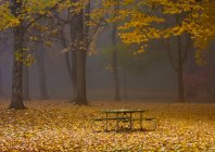 Picnic table and benches in autumnal park with fallen leaves, Portland, Oregon, USA — Stock Photo