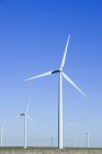 Вітрові турбіни, що обертаються в полі проти блакитного неба — стокове фото