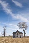 Покинутий будинок у сільській місцевості з оголеними деревами — стокове фото