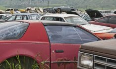 Verlassene Autos in Schrottplatz, Werbetafeln, Montana, USA — Stockfoto