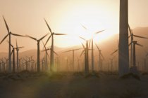 Windkraftanlagen bei Sonnenuntergang im kalifornischen Tal, Vereinigte Staaten — Stockfoto