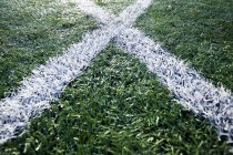 Крупним планом ліній на спортивному полі в Сіетлі, штат Вашингтон, США — стокове фото