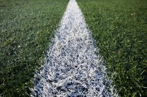 Крупний план лінії на спортивному полі в Сіетлі, штат Вашингтон, США — стокове фото