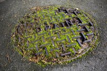 Close-up of moss-covered manhole cover in Seattle, Washington, USA — Stock Photo