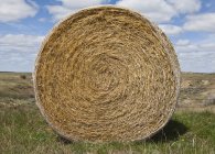 Bale of hay in rural countryside field — Stock Photo