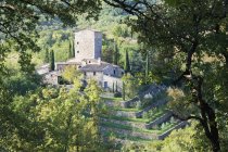 Каменная ферма в зеленом ландшафте Италии, Европы — стоковое фото